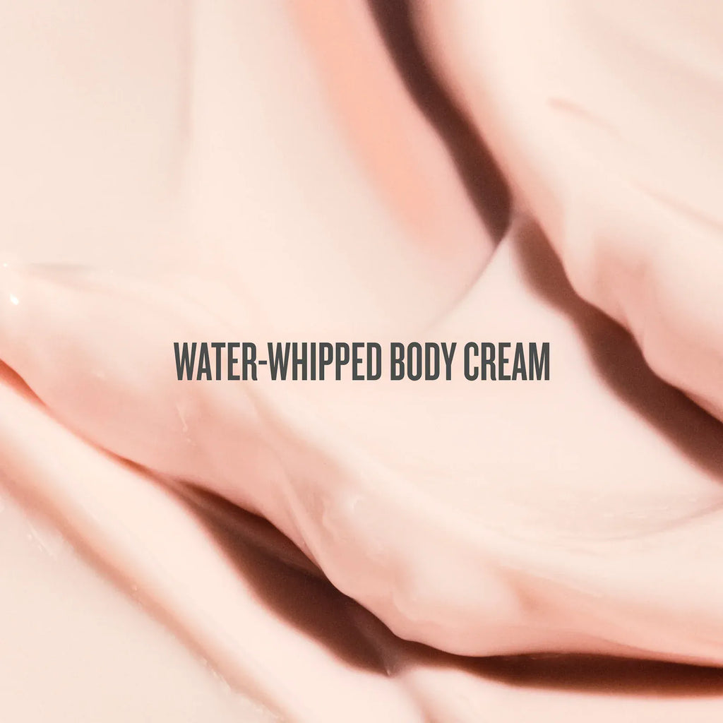 Rosa Charmosa™ Dewy Cream