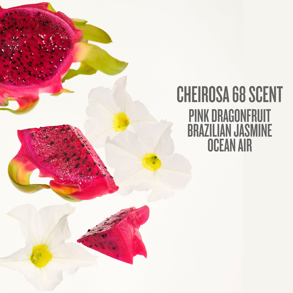 Elasticity-Boosting Duo